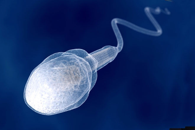 destroying your sperm